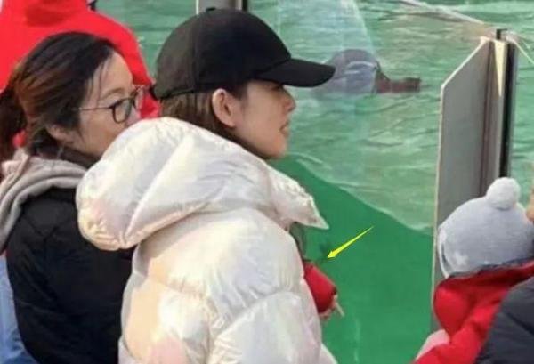 “西红柿门”庄佳最近产子?刘强东长子17岁?奶茶妹妹夺嫡路艰险?奶茶妹妹本质和田小姐嫁的是同一类男人