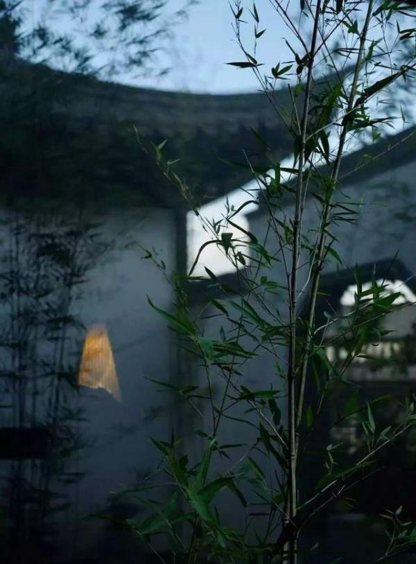 五一 | 6万一晚的别墅被谁订走？主打的就是一个豪华