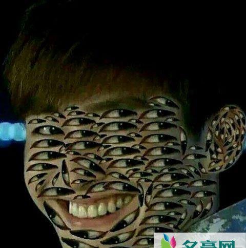 张翰的眼睛是什么梗?什么意思 据说是有卧蚕的眼睛