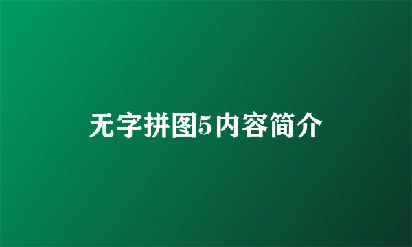 无字拼图5内容简介