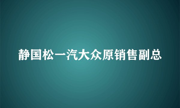 静国松一汽大众原销售副总