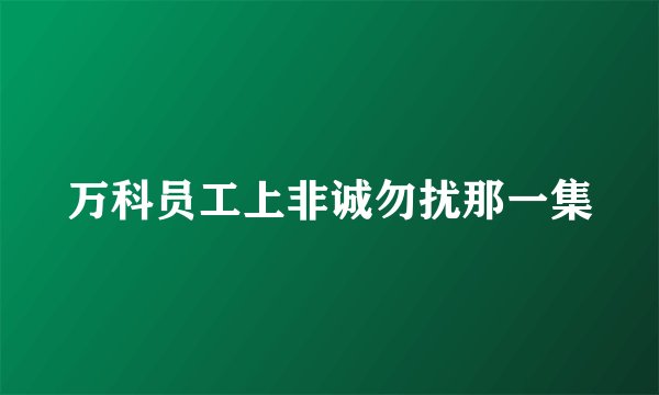 万科员工上非诚勿扰那一集