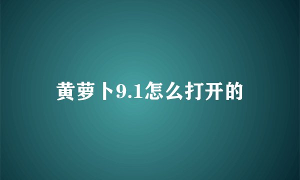 黄萝卜9.1怎么打开的