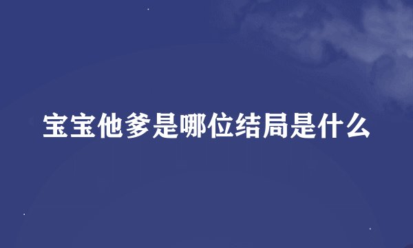 宝宝他爹是哪位结局是什么