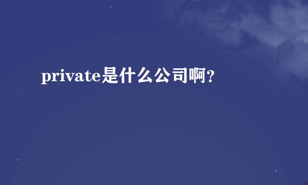 private是什么公司啊？