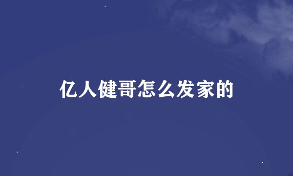 亿人健哥怎么发家的