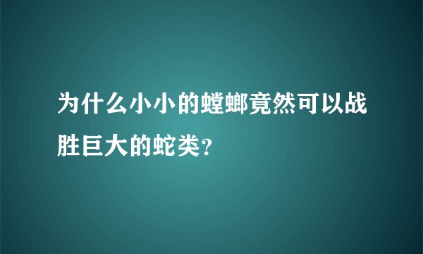 为什么小小的螳螂竟然可以战胜巨大的蛇类？