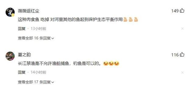 男子在湘江中钓到一条重达68斤的“水老虎”,最终他是如何处理这条鱼的?