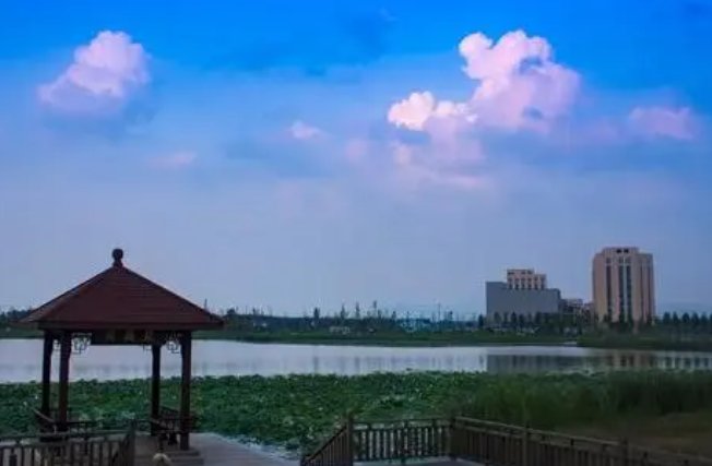 星光湖是什么梗