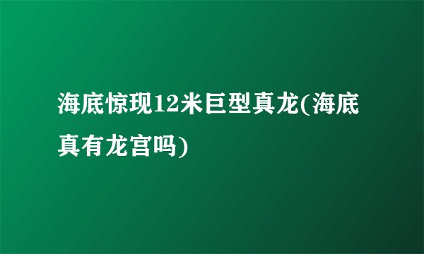 海底惊现12米巨型真龙(海底真有龙宫吗)