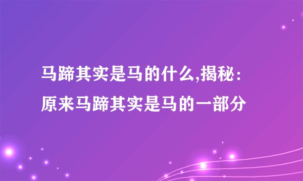 马蹄其实是马的什么,揭秘:原来马蹄其实是马的一部分