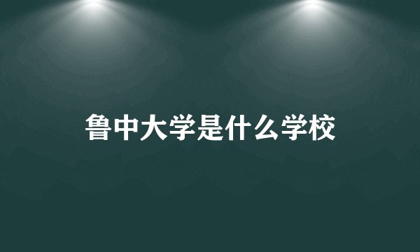 鲁中大学是什么学校