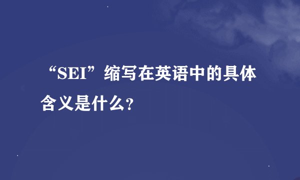 “SEI”缩写在英语中的具体含义是什么？