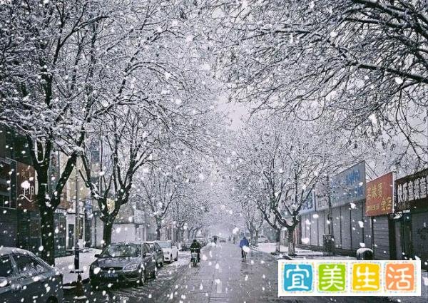雨夹雪!大雪!暴雪!还有寒潮和大风!辽宁沈阳迎来首场强降雪!