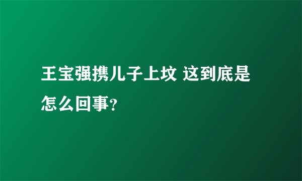 王宝强携儿子上坟 这到底是怎么回事？