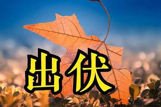 出伏吃啥有讲究吗