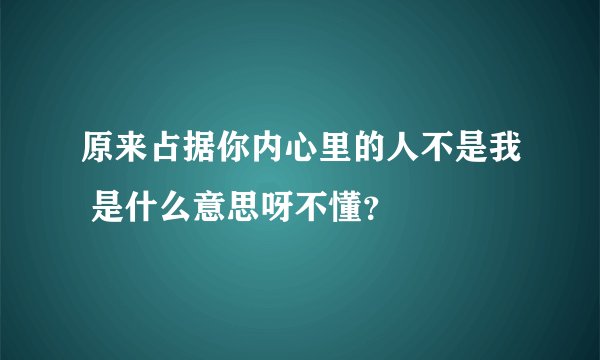 原来占据你内心里的人不是我 是什么意思呀不懂？