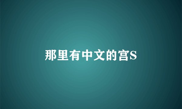 那里有中文的宫S