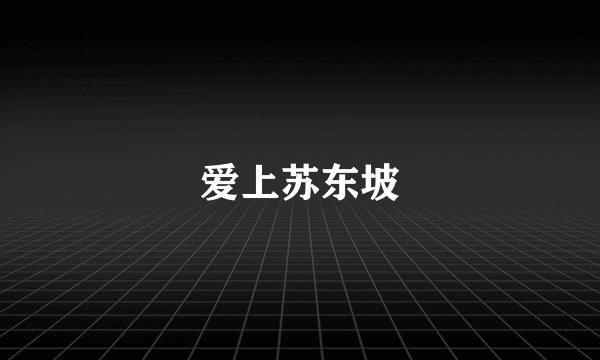 爱上苏东坡