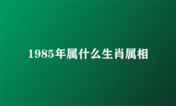 1985年属什么生肖属相