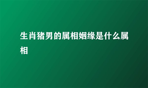 生肖猪男的属相姻缘是什么属相