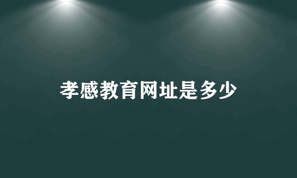 孝感教育网址是多少