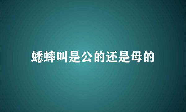 蟋蟀叫是公的还是母的