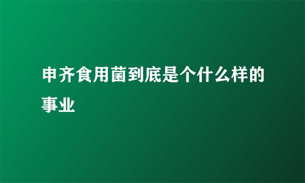 申齐食用菌到底是个什么样的事业