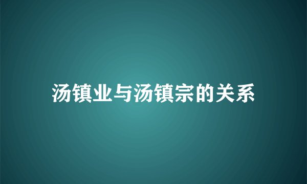 汤镇业与汤镇宗的关系