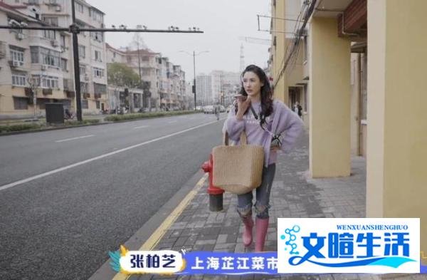 41岁“沪漂”张柏芝上海千万豪宅曝光 装修尽显少女心