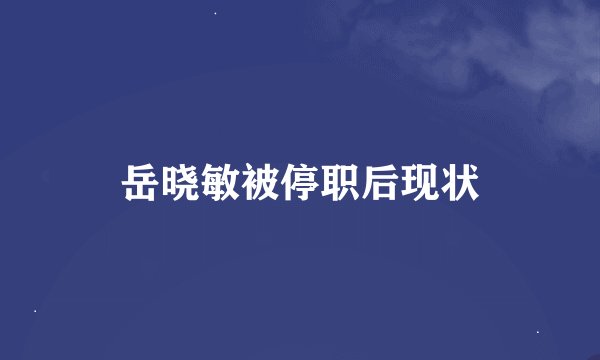 岳晓敏被停职后现状