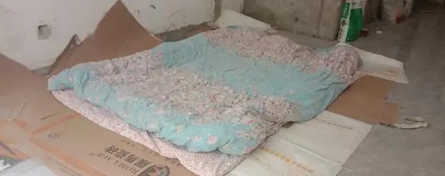 装修夫妻滞留在上海业主家一根萝卜吃两顿,他们面临的困境有哪些?