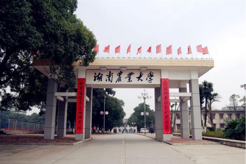 湖南农业大学2023录取分数线是多少分