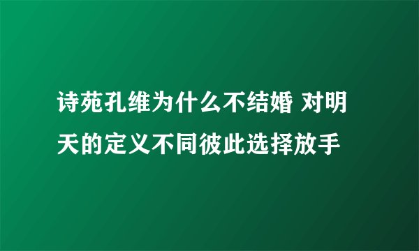 诗苑孔维为什么不结婚 对明天的定义不同彼此选择放手