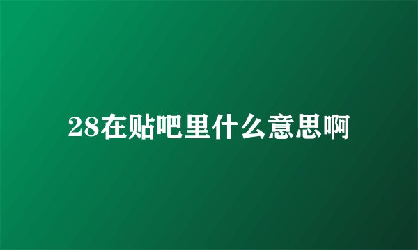28在贴吧里什么意思啊