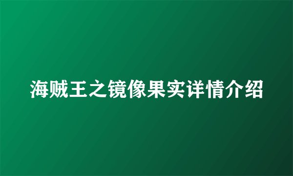 海贼王之镜像果实详情介绍