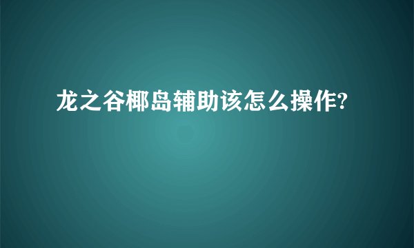 龙之谷椰岛辅助该怎么操作?