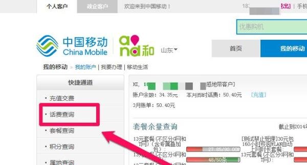 如何查询自己的话费详单