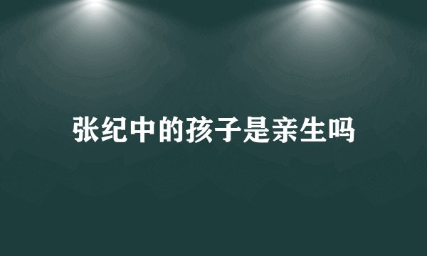 张纪中的孩子是亲生吗