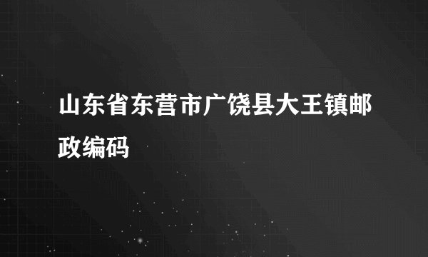 山东省东营市广饶县大王镇邮政编码