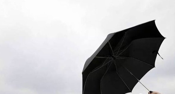 5岁女撑伞从11楼跳下摔伤高空坠地雨伞能起救生作用?