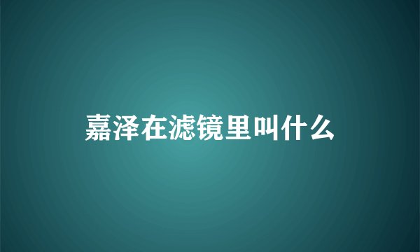 嘉泽在滤镜里叫什么