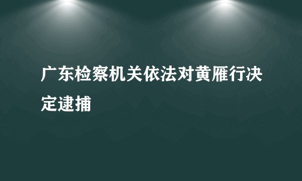 广东检察机关依法对黄雁行决定逮捕