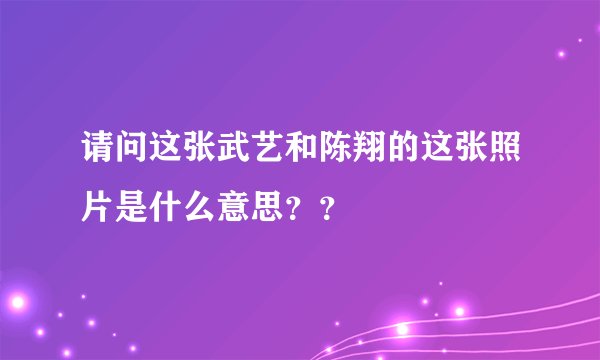请问这张武艺和陈翔的这张照片是什么意思？？