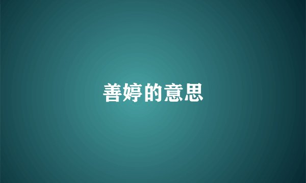 善婷的意思