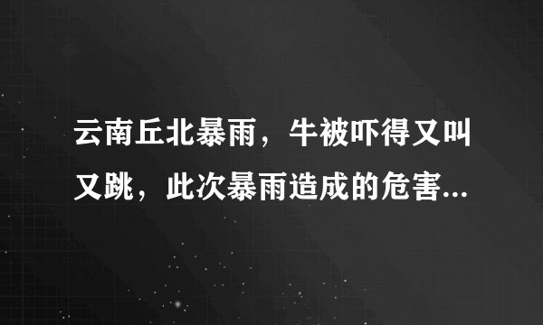 云南丘北暴雨，牛被吓得又叫又跳，此次暴雨造成的危害有哪些？