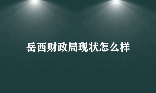 岳西财政局现状怎么样
