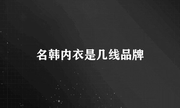 名韩内衣是几线品牌