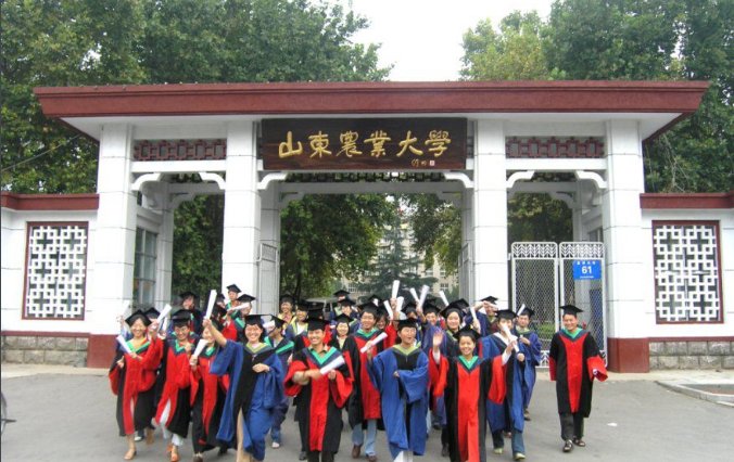 山东农业大学2022录取分数线