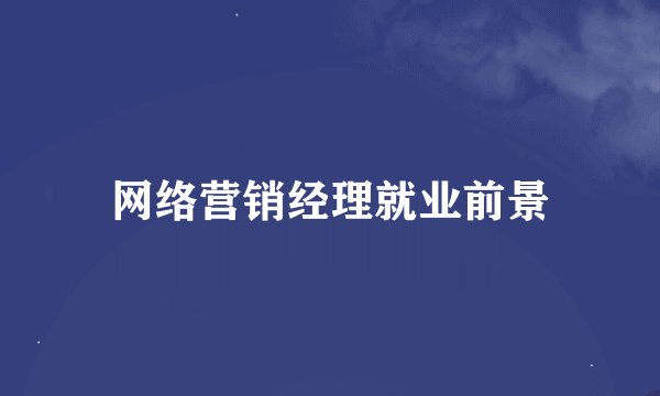 网络营销经理就业前景